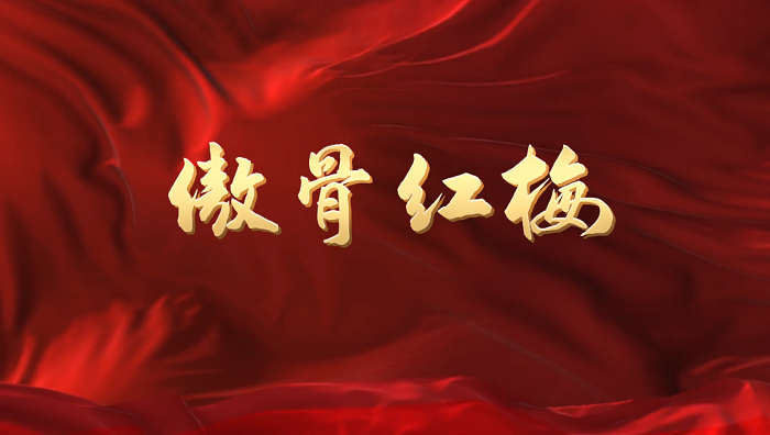 傲骨红梅（江竹筠）-红色故事演讲朗诵配乐led背景视频