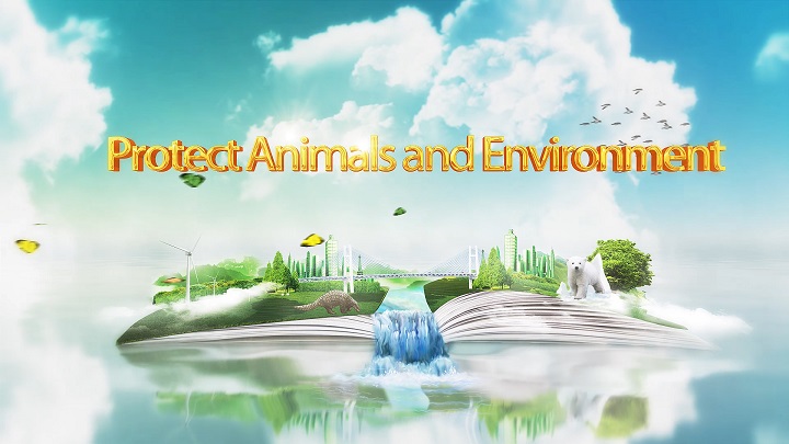 英文演讲-保护动物环境主题演讲朗诵配乐led背景视频