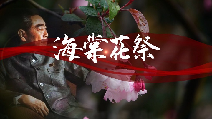 海棠花祭-纪念周恩来诗歌朗诵配乐背景视频