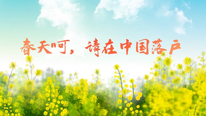 春天呵，请在中国落户-春天主题诗歌朗诵配乐背景视频