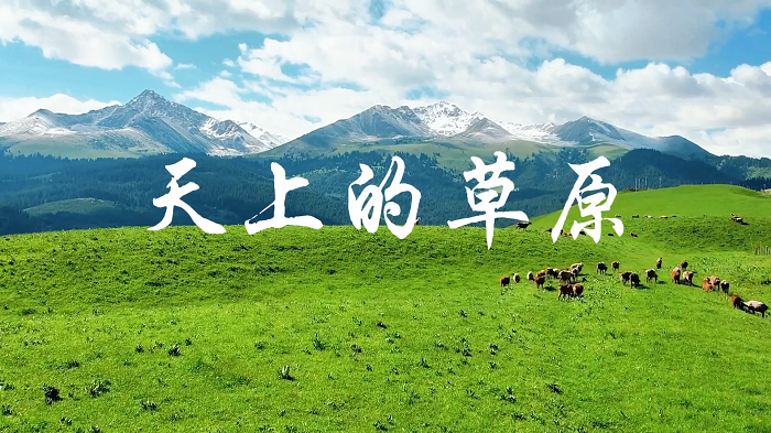 天上的草原—朗诵大赛一等奖，配乐背景视频