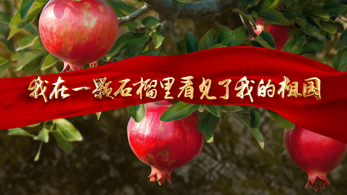 我在一颗石榴里看见了我的祖国—民族团结诗歌，国庆爱国诗歌朗诵配乐背景视频
